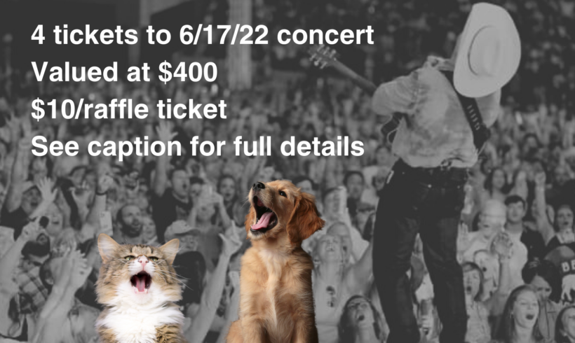 Garth Brooks Raffle