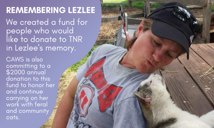Lezlee Memorial Fund